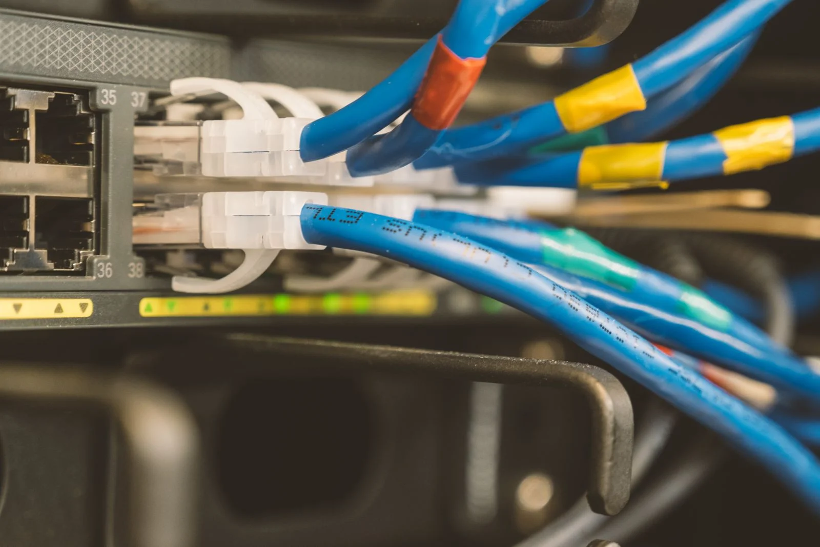 Blue Ethernet cables connected to a network switch